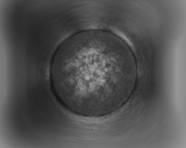 X0000093130010200710031400