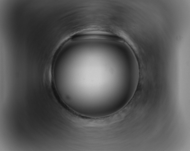 X0000093130011200710031400