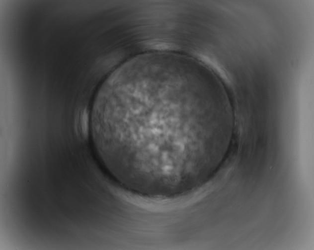 X0000093130014200710031400