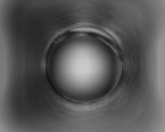 X0000093130015200710031400