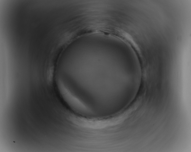 X0000093130018200710031400