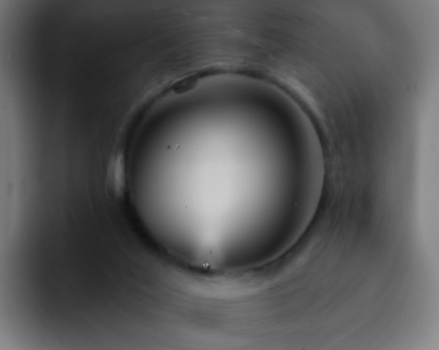 X0000093130020200710031400