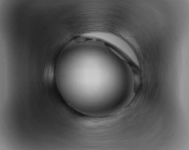 X0000093130021200710031400