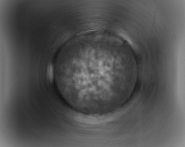 X0000093130022200710031400