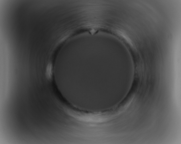 X0000093130024200710031400