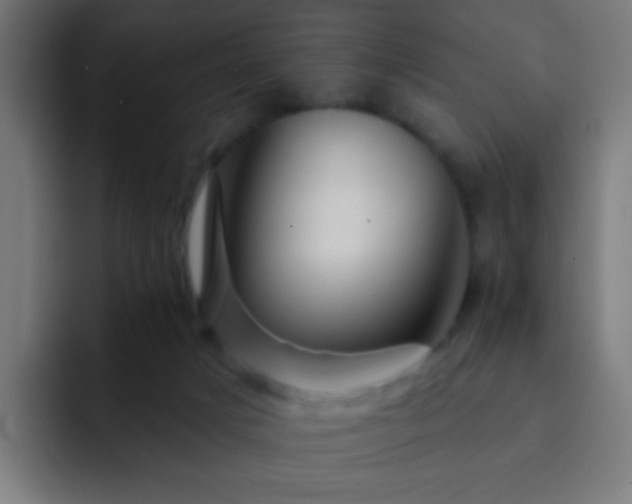 X0000093130025200710031400