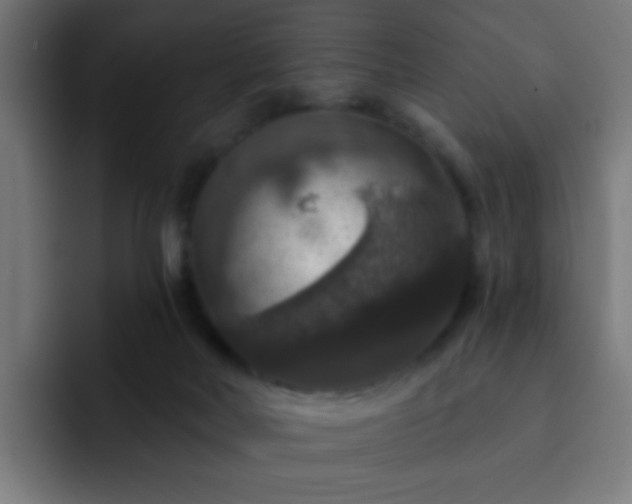 X0000093130026200710031400