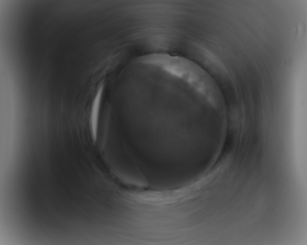 X0000093130029200710031400