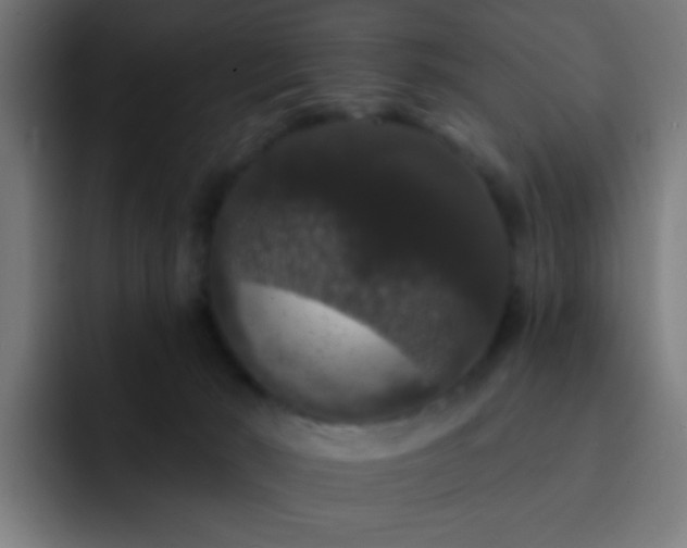 X0000093130030200710031400