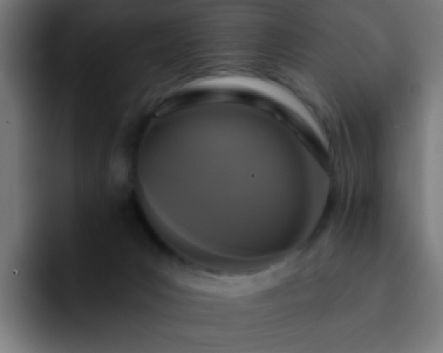 X0000093130031200710031400