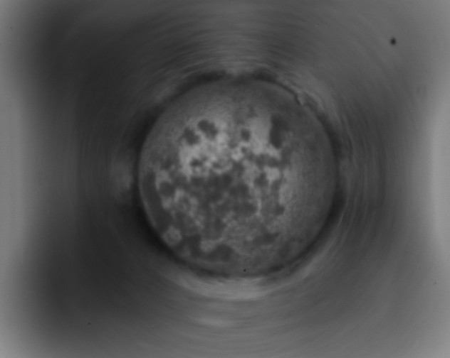 X0000093130032200710031400