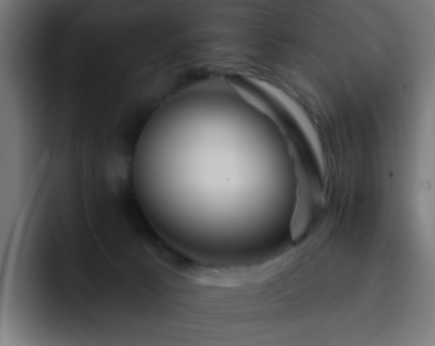 X0000093130033200710031400