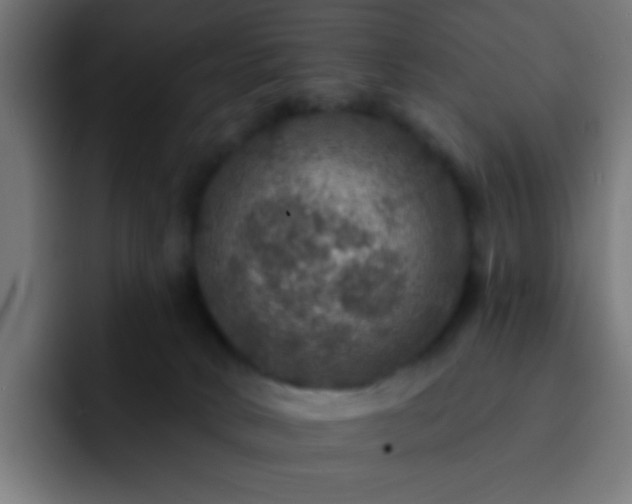 X0000093130034200710031400