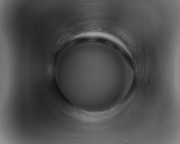 X0000093130035200710031400