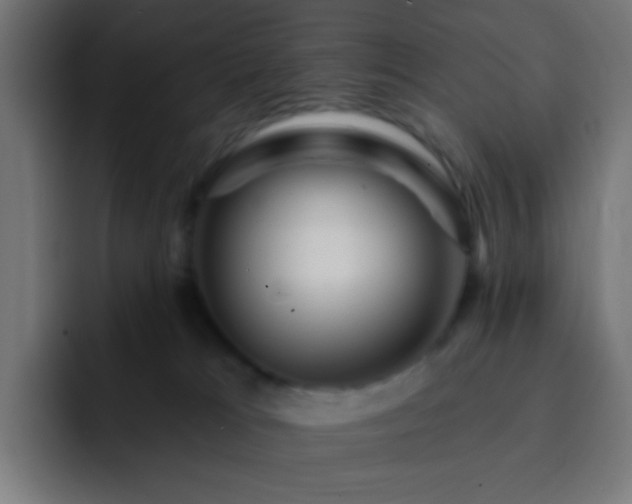 X0000093130037200710031400