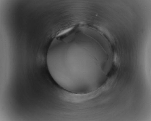 X0000093130039200710031400