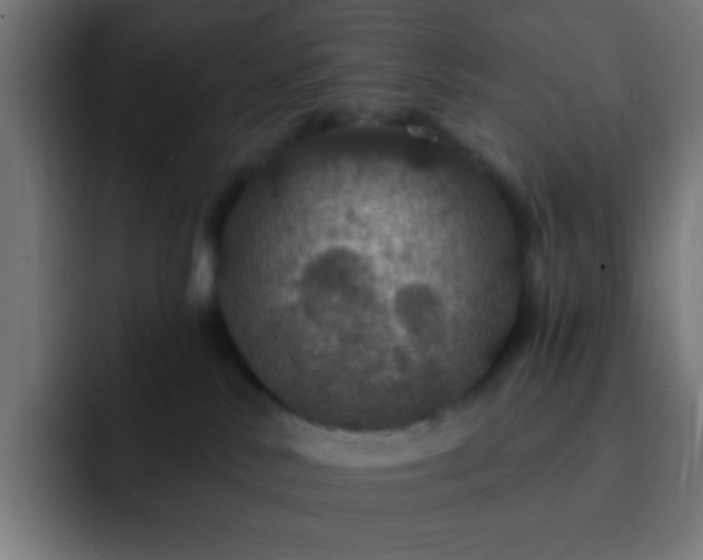 X0000093130042200710031400