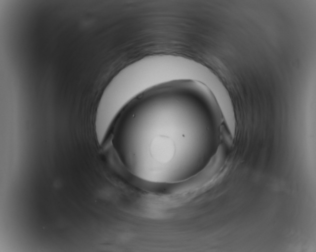 X0000093130045200710031400