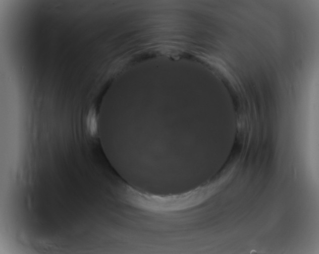 X0000093130046200710031400