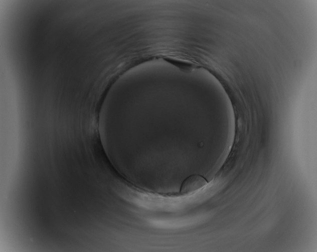 X0000093130048200710031400