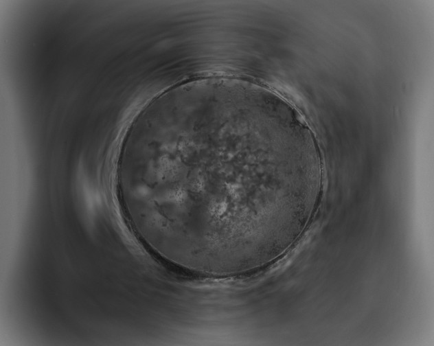 X0000093130049200710031359