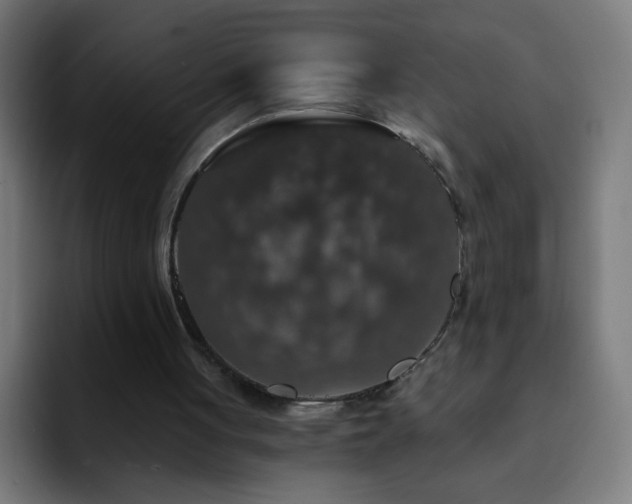 X0000093130051200710031359