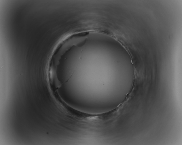 X0000093130054200710031359