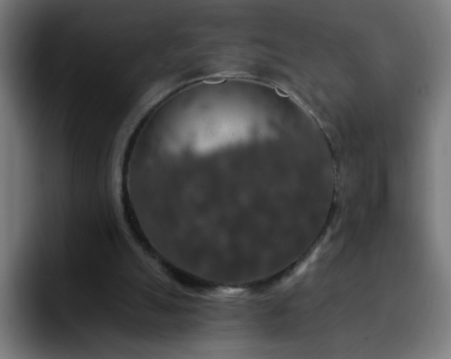 X0000093130055200710031359