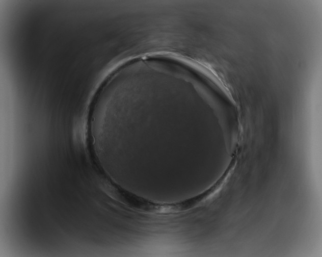 X0000093130056200710031359