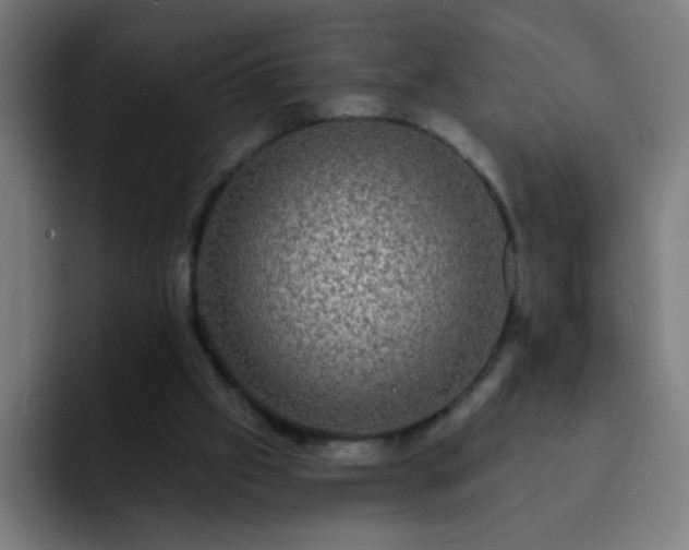 X0000093130057200710031359