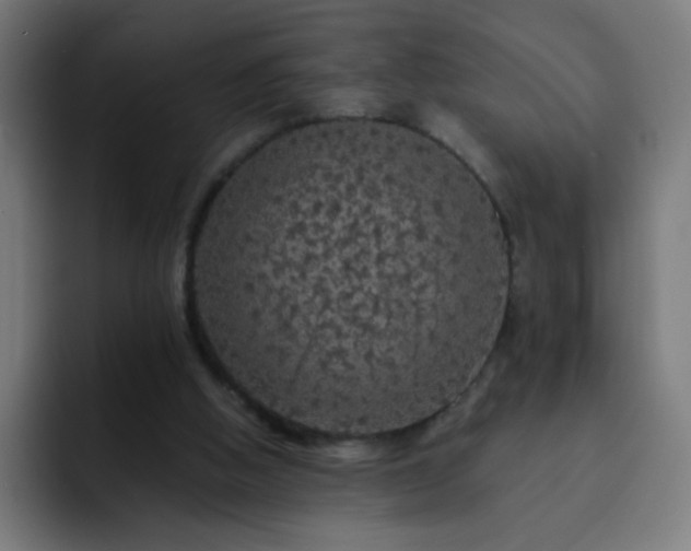 X0000093130058200710031359