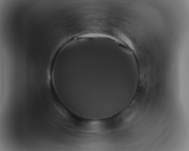 X0000093130059200710031359