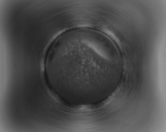 X0000093130060200710031359