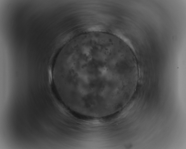 X0000093130061200710031359