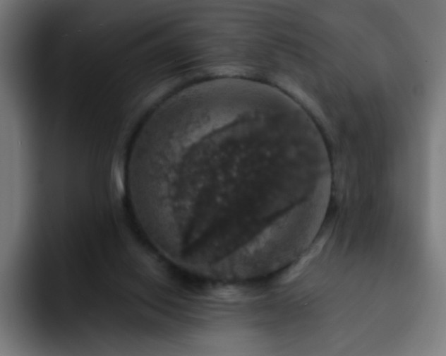 X0000093130062200710031359