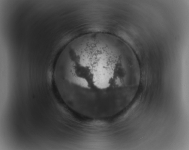 X0000093130063200710031359