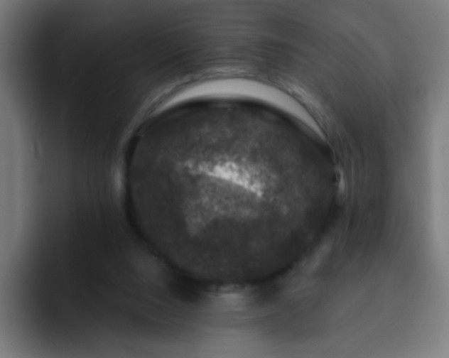 X0000093130064200710031359