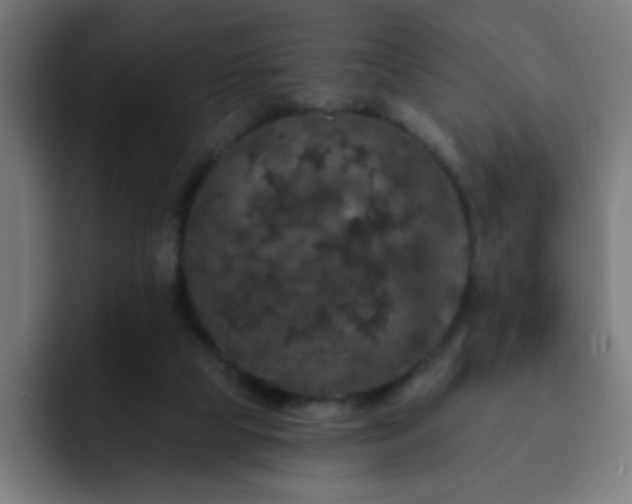 X0000093130065200710031359