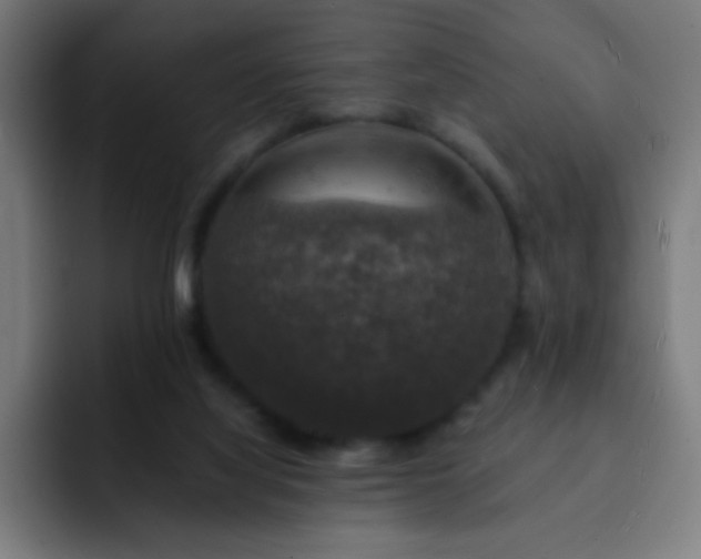 X0000093130068200710031359