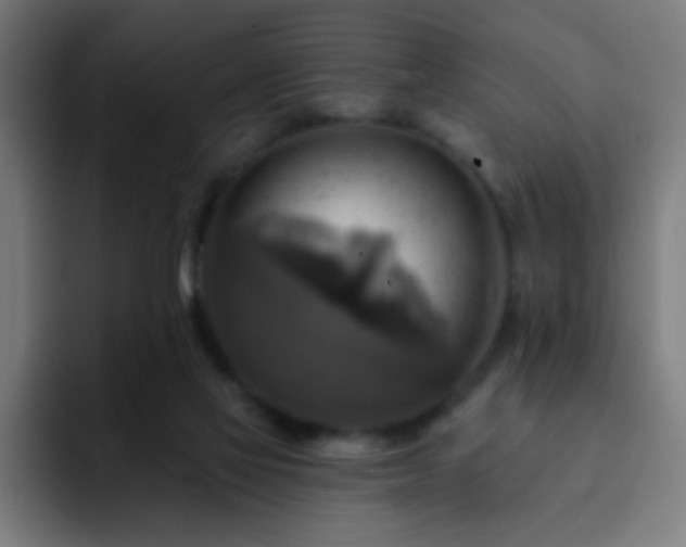 X0000093130069200710031359