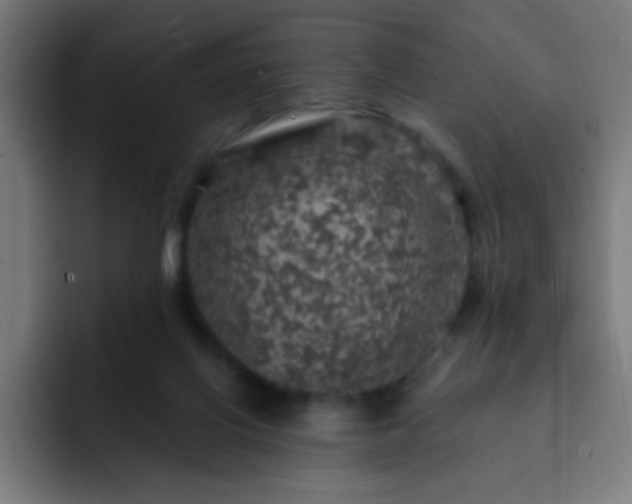 X0000093130070200710031359