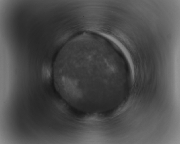 X0000093130072200710031359