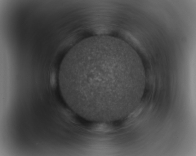 X0000093130074200710031359