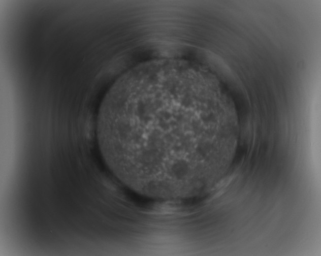 X0000093130078200710031359