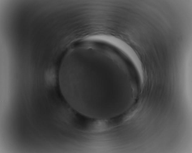 X0000093130080200710031359