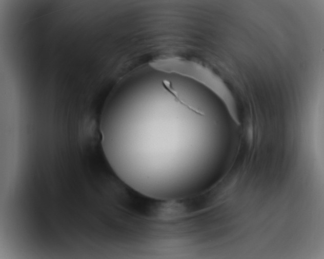 X0000093130087200710031400