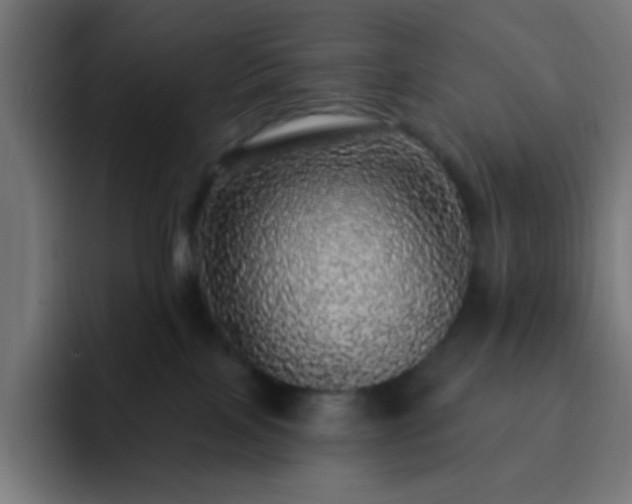 X0000093130089200710031400