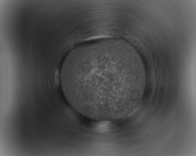 X0000093130090200710031400