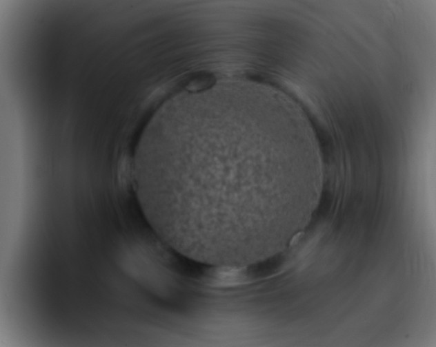 X0000093130093200710031400