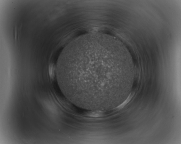 X0000093130094200710031400